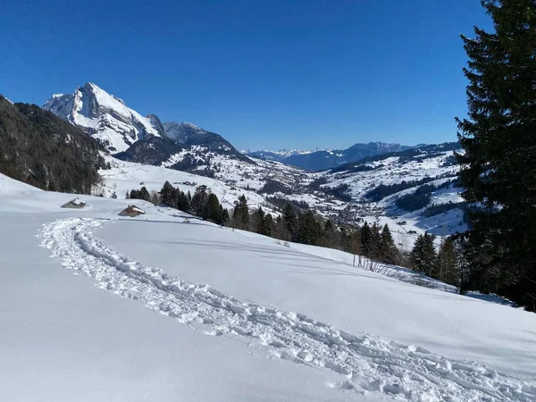 Maravilhosas Trilhas Para Caminhadas Inverno Traços Nas Encostas Cordilheira Alpstein — Fotografia de Stock