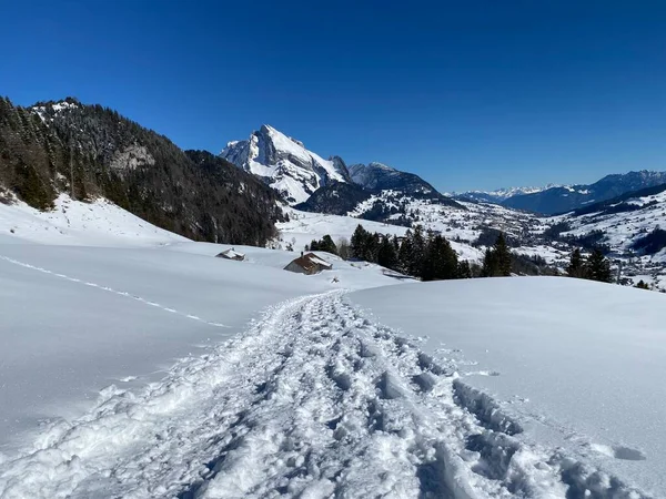 Maravillosas Rutas Senderismo Invierno Rastros Las Laderas Cordillera Alpstein Cubierta — Foto de Stock