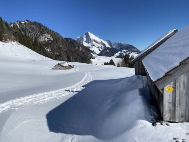 Alpstein dağ kütlesi ve İsviçre Alpleri - Alt St. Johann, İsviçre (Schweiz)