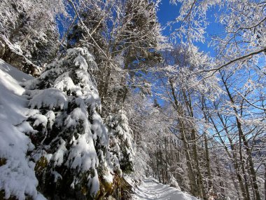 Obertoggenburg Alp Vadisi ve İsviçre Alpleri - Alt St. Johann, İsviçre (Schweiz)