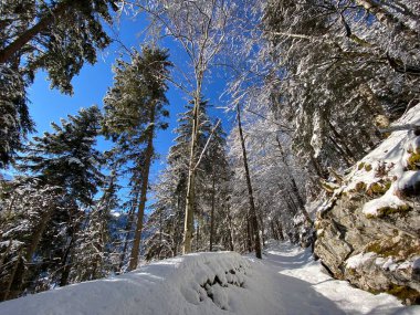 Obertoggenburg Alp Vadisi ve İsviçre Alpleri - Alt St. Johann, İsviçre (Schweiz)
