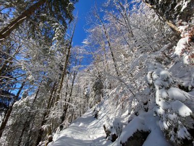 Obertoggenburg Alp Vadisi ve İsviçre Alpleri - Alt St. Johann, İsviçre (Schweiz)