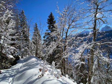 Obertoggenburg Alp Vadisi ve İsviçre Alpleri - Alt St. Johann, İsviçre (Schweiz)