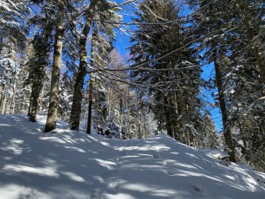 Obertoggenburg Alp Vadisi ve İsviçre Alpleri - Alt St. Johann, İsviçre (Schweiz)