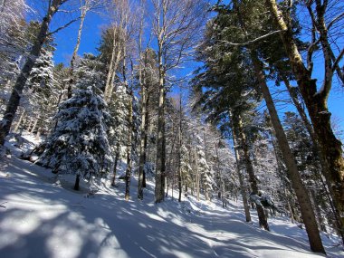 Obertoggenburg Alp Vadisi ve İsviçre Alpleri - Alt St. Johann, İsviçre (Schweiz)