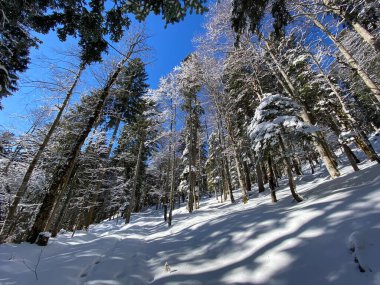 Obertoggenburg Alp Vadisi ve İsviçre Alpleri - Alt St. Johann, İsviçre (Schweiz)