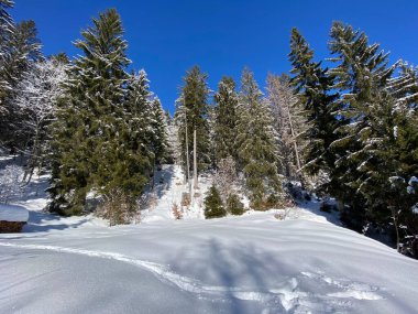 Obertoggenburg Alp Vadisi ve İsviçre Alpleri - Alt St. Johann, İsviçre (Schweiz)