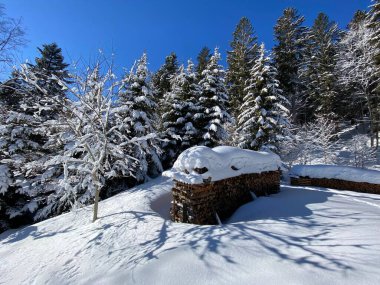 Obertoggenburg Alp Vadisi ve İsviçre Alpleri - Alt St. Johann, İsviçre (Schweiz)