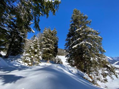 Obertoggenburg Alp Vadisi ve İsviçre Alpleri - Alt St. Johann, İsviçre (Schweiz)