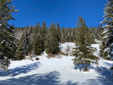 Obertoggenburg Alp Vadisi ve İsviçre Alpleri - Alt St. Johann, İsviçre (Schweiz)