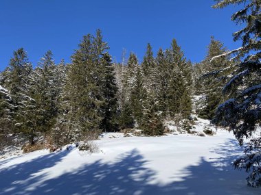 Obertoggenburg Alp Vadisi ve İsviçre Alpleri - Alt St. Johann, İsviçre (Schweiz)