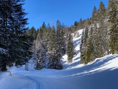 Obertoggenburg Alp Vadisi ve İsviçre Alpleri - Alt St. Johann, İsviçre (Schweiz)