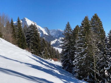 Obertoggenburg Alp Vadisi ve İsviçre Alpleri - Alt St. Johann, İsviçre (Schweiz)