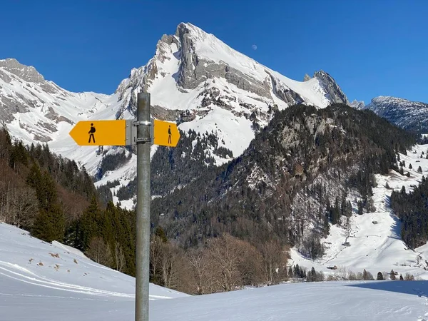 アルプスの山塊とスイスアルプスの牧歌的な冬の雰囲気の中を移動するための標識とハイキングの標識とオリエンテーション Alt ヨハン スイス スイス — ストック写真