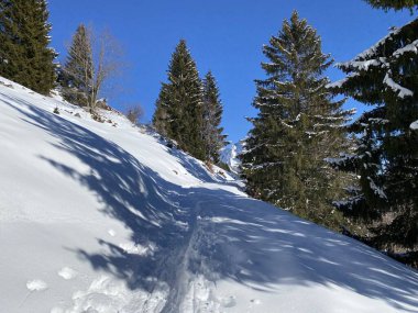 Obertoggenburg bölgesindeki Churfirsten dağlarının karlı yamaçlarındaki Alp kışları sırasında güneş ışığı ve gölgenin büyülü bir oyunu (Schweiz)