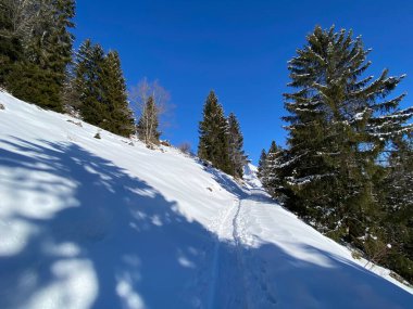 Obertoggenburg bölgesindeki Churfirsten dağlarının karlı yamaçlarındaki Alp kışları sırasında güneş ışığı ve gölgenin büyülü bir oyunu (Schweiz)