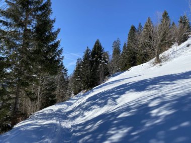 Obertoggenburg bölgesindeki Churfirsten dağlarının karlı yamaçlarındaki Alp kışları sırasında güneş ışığı ve gölgenin büyülü bir oyunu (Schweiz)