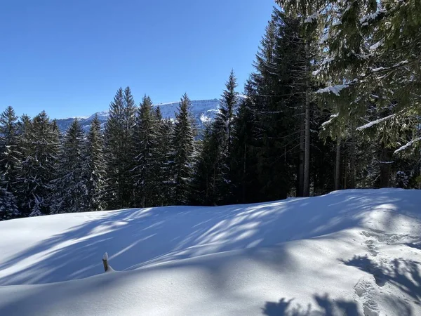 Zauberhaftes Spiel Von Sonne Und Schatten Alpinen Winter Auf Den — Stockfoto
