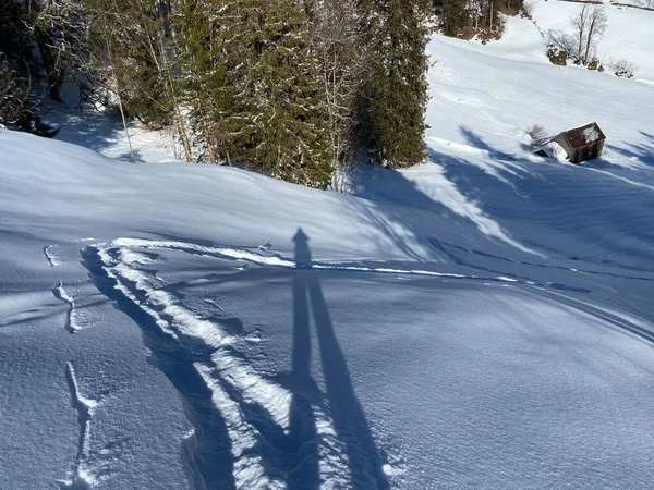 Magical Play Sunlight Shadow Alpine Winter Snowy Slopes Churfirsten Mountain — Stock Photo, Image