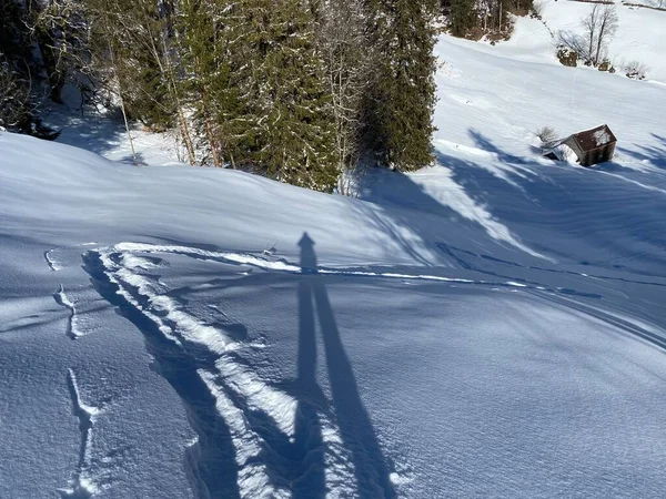 Jeu Magique Soleil Ombre Pendant Hiver Alpin Sur Les Pentes — Photo