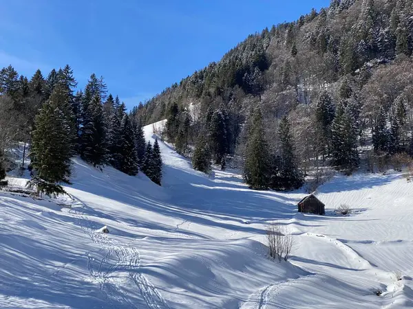 Magico Gioco Luci Ombre Durante Inverno Alpino Sulle Pendici Innevate — Foto Stock