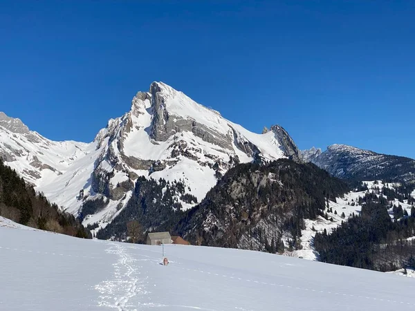 Manta Blanca Pico Alpino Wildhuser Schofberg Wildhuser Schafberg 2373 Cordillera —  Fotos de Stock