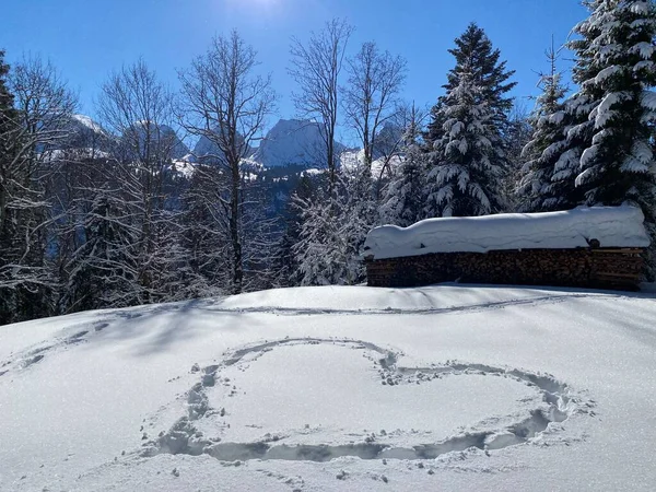 Icy Snow Heart Traces Fresh Alpine Snow Shape Heart Alt Stock Image