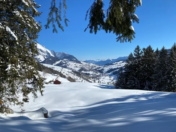 アルプシュタイン山とチュルファーテン山塊の間のサウル川渓谷 またはツュルタル の冬の雪のアイドル アルト セント ヨハン オーバートッゲンブルク地域 スイス スイス — ストック写真