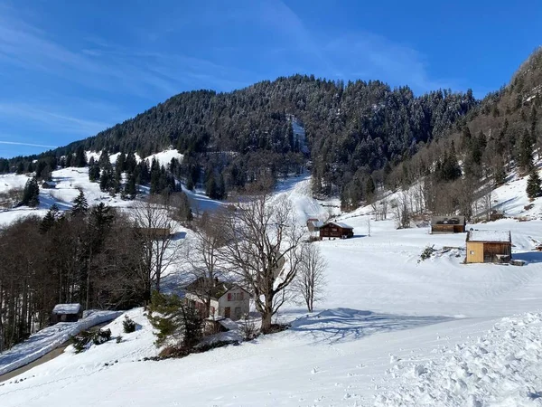 アルプシュタイン山とチュルファーテン山塊の間のサウル川渓谷 またはツュルタル の冬の雪のアイドル アルト セント ヨハン オーバートッゲンブルク地域 スイス スイス — ストック写真
