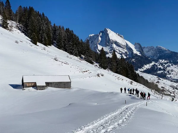 Hikers Walkers Beautiful Idyllic Fresh Snow Slopes Alpstein Mountain Massif — Stock Photo, Image