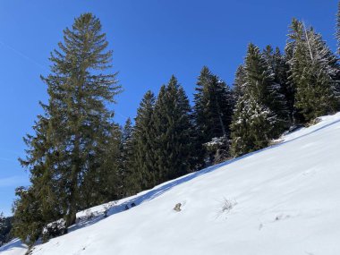 Obertoggenburg Alp Vadisi ve İsviçre Alpleri - Alt St. Johann, İsviçre (Schweiz)