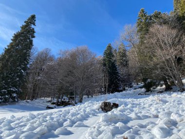 Obertoggenburg Alp Vadisi ve İsviçre Alpleri - Alt St. Johann, İsviçre (Schweiz)