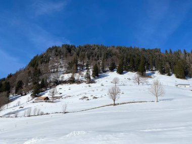 Obertoggenburg Alp Vadisi ve İsviçre Alpleri - Alt St. Johann, İsviçre (Schweiz)