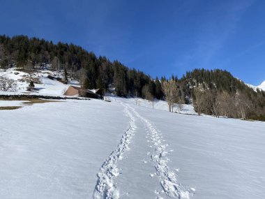 Alpstein Dağları 'nın yamaçlarında ve İsviçre Alpleri' nin taze Alp Dağları 'nın kar örtüsünde - Alt St. Johann, İsviçre (Schweiz)