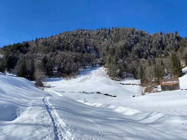 Alpstein Dağları Nın Yamaçlarında Sviçre Alpleri Nin Taze Alp Dağları — Stok fotoğraf