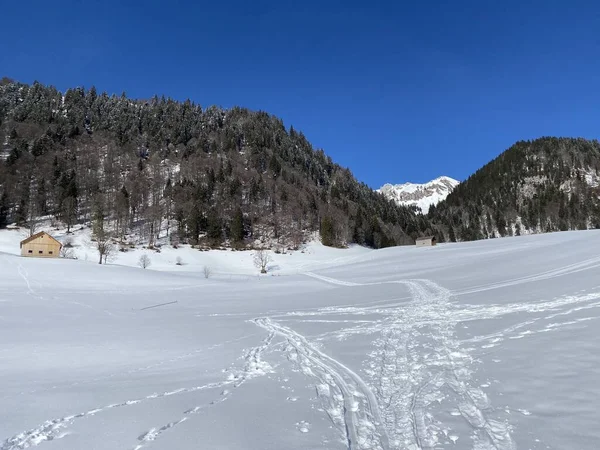 Maravillosas Rutas Senderismo Invierno Rastros Las Laderas Cordillera Alpstein Cubierta — Foto de Stock