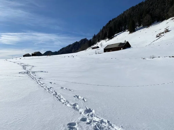 Maravilhosas Trilhas Para Caminhadas Inverno Traços Nas Encostas Cordilheira Alpstein — Fotografia de Stock