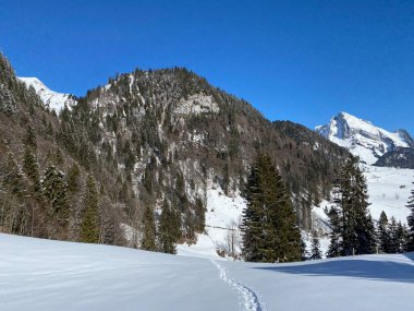 Alpstein Tepesi 'nin yamaçlarında ve Obertoggenburg Vadisi' nin yukarısında - Alt St. Johann, İsviçre (Schweiz)