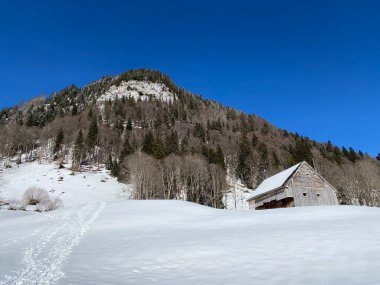 Alpstein Tepesi 'nin yamaçlarında ve Obertoggenburg Vadisi' nin yukarısında - Alt St. Johann, İsviçre (Schweiz)