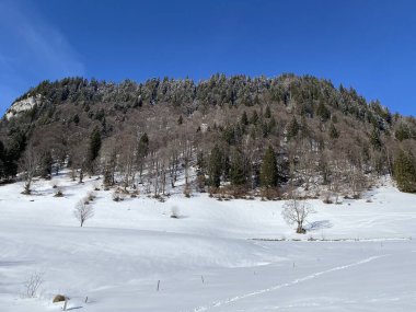 Alpstein Tepesi 'nin yamaçlarında ve Obertoggenburg Vadisi' nin yukarısında - Alt St. Johann, İsviçre (Schweiz)