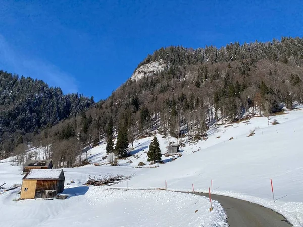 Bos Rotsachtige Alpiene Heuvel Mittelberg Hellingen Van Het Alpstein Massief — Stockfoto