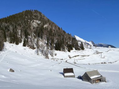 Alpstein Tepesi 'nin yamaçlarında ve Obertoggenburg Vadisi' nin yukarısında yer alan Alpstein Tepesi Lauiberg (Schweiz)