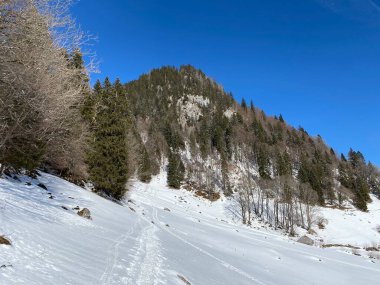 Alpstein Tepesi 'nin yamaçlarında ve Obertoggenburg Vadisi' nin yukarısında yer alan Alpstein Tepesi Lauiberg (Schweiz)
