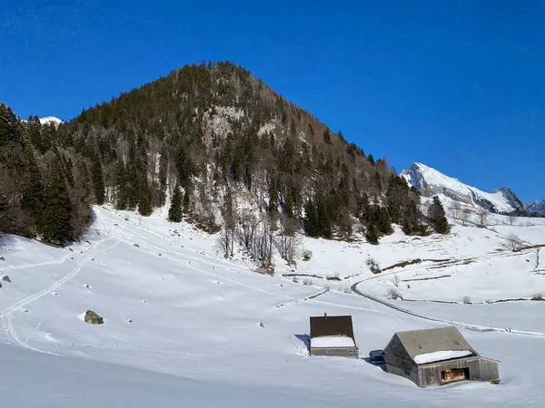 アルプスシュタイン山脈の斜面とオーバートッゲンブルク渓谷の上の森林岩の多い高山の丘Lauiberg Alt Johann Switzerland スイス — ストック写真