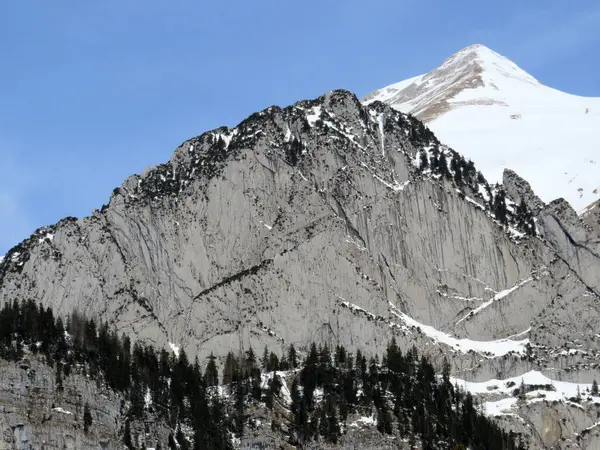 雪に覆われたアルプスの岩アルプシュタイン山脈のピークWildhuser Schofbergの南側にあるSchofbergwandとアペンツェルアルプスの大規模な ワイルドハウス カントン セント ガレン スイス スイス — ストック写真