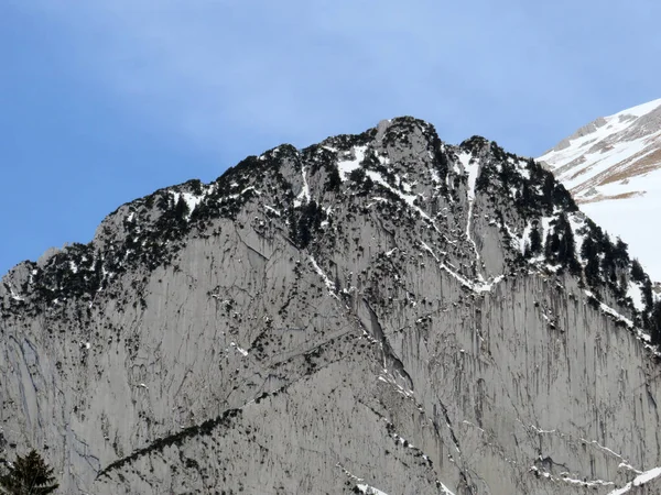 Roche Alpine Enneigée Schofbergwand Sur Côté Sud Pic Wildhuser Schofberg — Photo