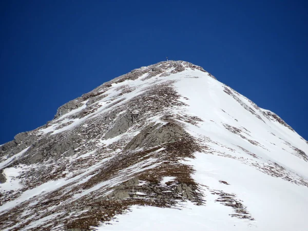 位于Alpstein山脉的Wildhuser Schofberg 或Wildhuser Schafberg 2373米 高山峰和瑞士圣加仑州 Schweiz Wildhaus的Annzell Alps地块上的白色毛毯 — 图库照片