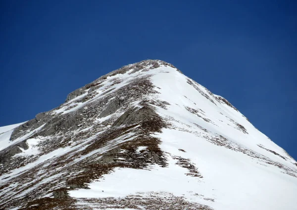 Biały Koc Alpejskim Szczycie Wildhuser Schofberg Lub Wildhuser Schafberg 2373 — Zdjęcie stockowe