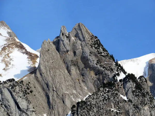 Sněhem Porostlý Skalní Vrchol Zehespitz 1958 Pohoří Alpstein Masivu Appenzell — Stock fotografie