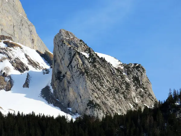 알프스 오베르 부르크 스위스 세인트 갈렌의 바이츠 눈덮인 알프스 산봉우리체 — 스톡 사진